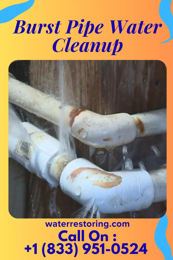 Burst Pipe Water Cleanup in Murphysboro, IL